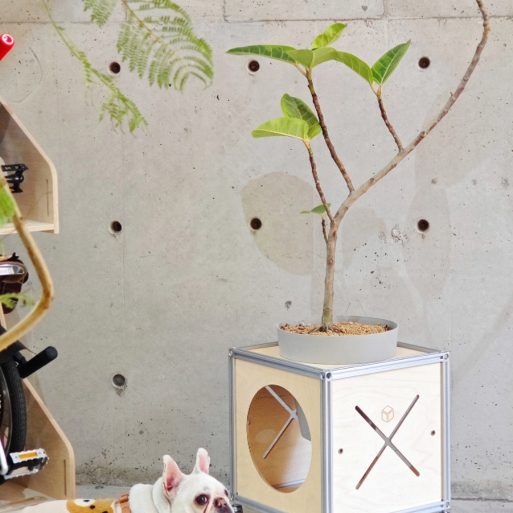 ModBoxModularCatHouseBenchwithPlantStand_Multi-FunctionalPetFurniture