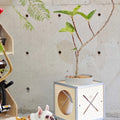 ModBoxModularCatHouseBenchwithPlantStand_Multi-FunctionalPetFurniture