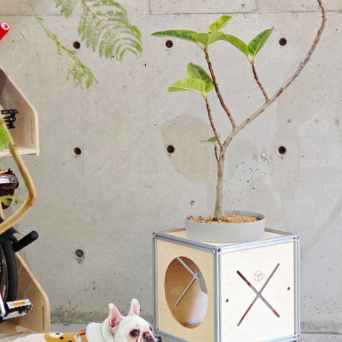 ModBoxModularCatHouseBenchwithPlantStand_Multi-FunctionalPetFurniture
